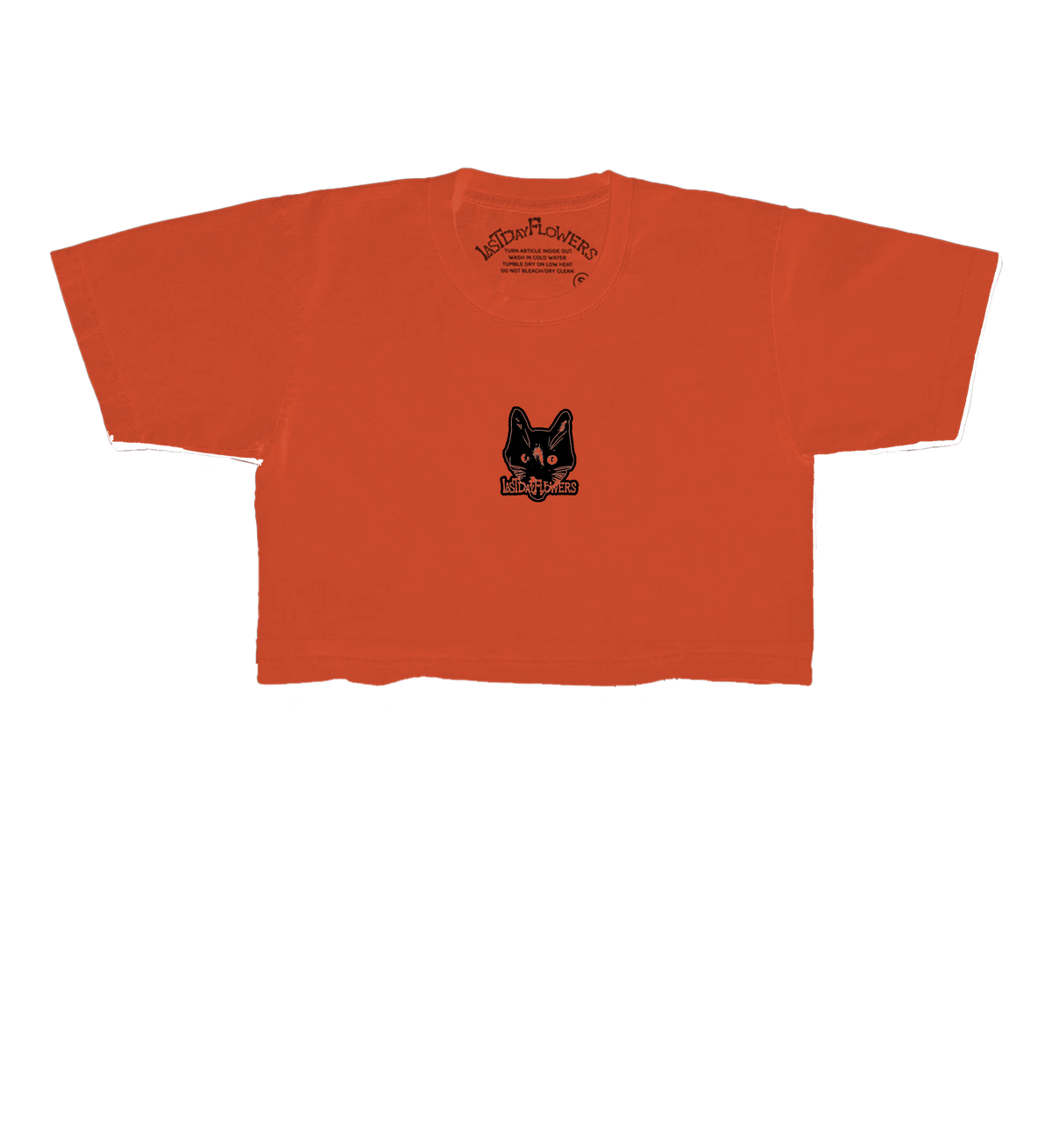$10 Cat Female Crop - Pumpkin Orange