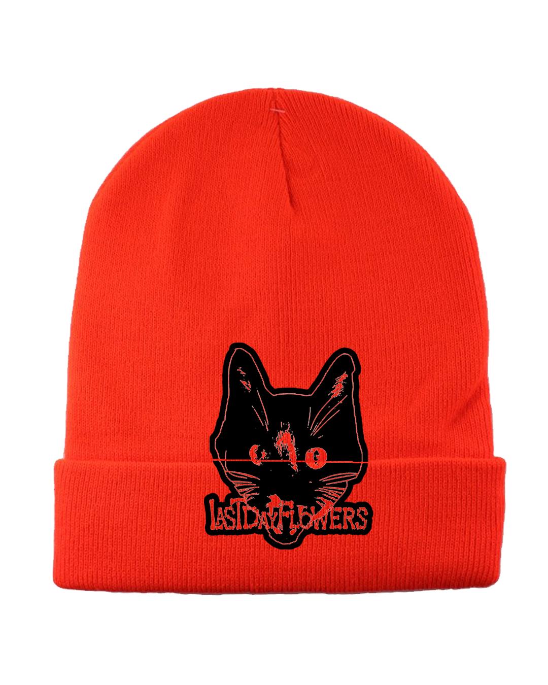 Cat Pumpkin Beanie